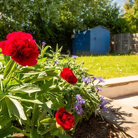 Cozy 3 Bed Family By Park *