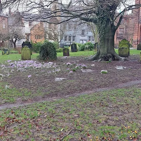 Cozy 3 Bed Family By Park *