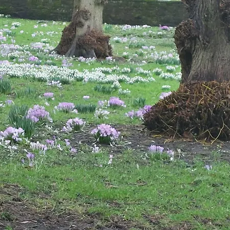 Cozy 3 Bed Family By Park Dom wakacyjny *